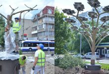 Photo of foto, video | O fi cea mai modernă instalație de pe străzile Chișinăului? Primul arbore solar, montat la Ciocana