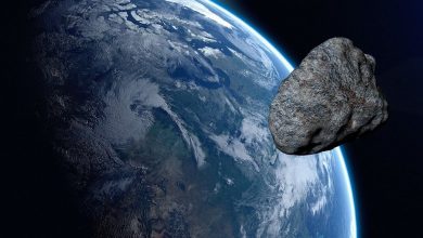 Photo of Un asteroid periculos a trecut pe lângă Pământ. Dacă lovea planeta, explozia ar fi fost de 30 de ori mai mare decât bomba de la Hiroshima