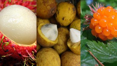 Photo of foto | Fructul stea sau pepenele galben cu coarne: 10 delicii exotice care te vor lăsa cu gura căscată