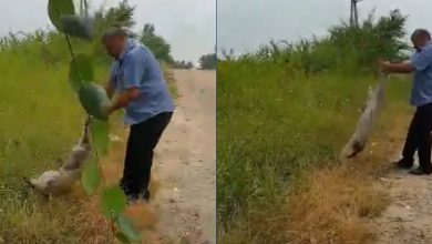 Photo of video | Fără milă: Un bărbat, surprins în timp ce aruncă pe marginea drumului o pungă cu un câine. Era viu și se zbătea să se elibereze