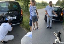 Photo of video | UPDATE: Momentul în care preotul din Anenii Noi târă un câine pe asfalt. Ce pedeapsă riscă acesta?