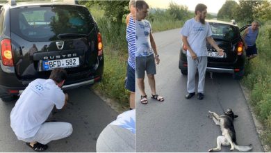 Photo of video | UPDATE: Momentul în care preotul din Anenii Noi târă un câine pe asfalt. Ce pedeapsă riscă acesta?