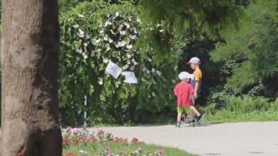 Photo of video | „Banii nu cresc pe copac, dar în Moldova totul e posibil”. Rezultatul unui experiment social, efectuat de un grup de tineri