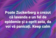 Photo of foto | Cele mai amuzante reacții după ce Facebook și Instagram au încetat să mai afișeze fotografiile: Cine s-a apucat de dat cu var?