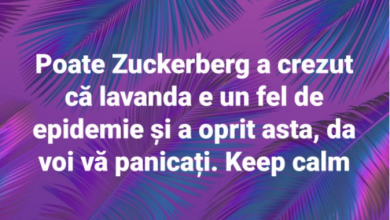 Photo of foto | Cele mai amuzante reacții după ce Facebook și Instagram au încetat să mai afișeze fotografiile: Cine s-a apucat de dat cu var?