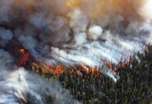 Photo of foto, video | Pădurea siberiană, în flăcări deja de câteva săptămâni. Focul s-a extins pe o suprafață mai mare decât teritoriul Belgiei