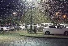 Photo of video | Invazie de greieri în Las Vegas. Insectele s-ar putea reține în oraș săptămâni întregi