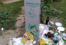 Photo of foto | Au rezistat doar cinci zile. Containerele destinate pentru excrementele animalelor, transformate în coșuri de gunoi arhipline