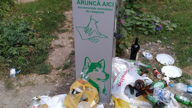 Photo of foto | Au rezistat doar cinci zile. Containerele destinate pentru excrementele animalelor, transformate în coșuri de gunoi arhipline