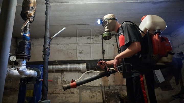 Photo of Dezinsecția în blocurile locative este în toi. Cine va câștiga lupta – puricii sau muncitorii cu soluții chimice?