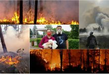 Photo of foto, video | Peste 2 milioane de hectare din Rusia, cuprinse de flăcări. Incendiile dezastruoase pot fi văzute chiar și din spațiu