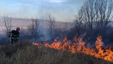 Photo of Incendiu la o fostă bază de petrol din Basarabeasca. Focul a mistuit șase hectare de iarbă uscată