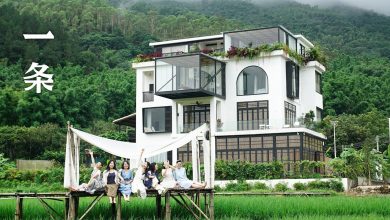 Photo of video | Prietenie de poveste: Șapte chinezoaice și-au cumpărat casa mult visată și au decis să trăiască împreună până la bătrânețe