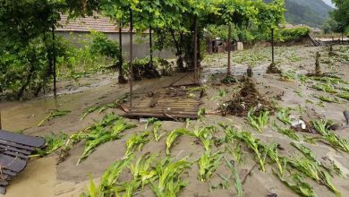 Photo of video | 34 de localități din 12 raioane, afectate de furtuna de ieri. Ploile puternice au distrus parțial peste 160 de case