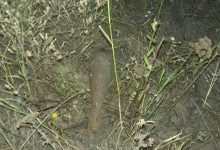 Photo of foto | Plimbare cu surprize: O familie din Sîngerei a descoperit un explozibil în padurea de lângă sat
