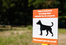 Photo of foto, video | Parcul Valea Morilor „se schimbă la față”. SEBO a instalat 5 pubele pentru colectarea deșeurilor animalelor