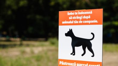 Photo of foto, video | Parcul Valea Morilor „se schimbă la față”. SEBO a instalat 5 pubele pentru colectarea deșeurilor animalelor