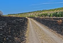 Photo of foto | Un incendiu a fost cât pe ce să distrugă o rezervație peisagistică din Moldova. Flăcările, potolite de un primar și pompieri