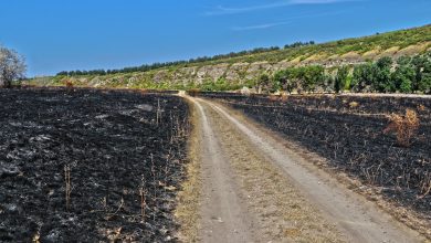 Photo of foto | Un incendiu a fost cât pe ce să distrugă o rezervație peisagistică din Moldova. Flăcările, potolite de un primar și pompieri