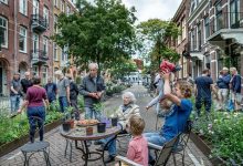 Photo of video | În Chișinău se caută parcări, în Amsterdam se sădesc grădini. De ce olandezii vor să anuleze 11.200 de locuri de parcare?