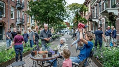 Photo of video | În Chișinău se caută parcări, în Amsterdam se sădesc grădini. De ce olandezii vor să anuleze 11.200 de locuri de parcare?