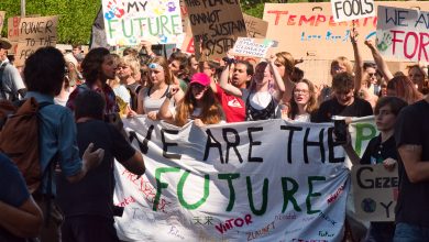 Photo of foto | Suedeza de 16 ani care luptă pentru salvarea planetei i-a inspirat și pe moldoveni. Zeci de tineri s-au alăturat mișcării Fridays For Future