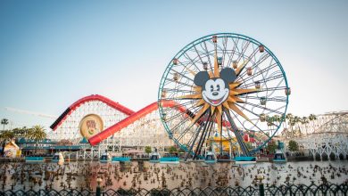 Photo of Disneyland lansează o alertă sanitară internațională. De ce s-ar putea îmbolnăvi cei care au fost la jumătatea lunii în parc?