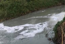 Photo of foto | Râul Bâc a devenit alb, iar în oraș persistă un miros neplăcut: Reacția „Apă Canal Chișinău”