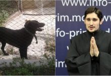 Photo of foto | Preotul Ghenadie Valuța a mai prins un câine: Singura soluție e să îl leg iarăși de mașină ca să îl duc la azil?