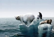 Photo of Încălzirea globală vine cu efecte imediate: Specialiștii prognozează valuri mai lungi de caniculă și ploi distrugătoare