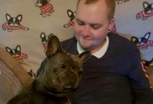Photo of Cei mai buni prieteni până în ultima clipă. Un cățel a murit la doar 15 minute după ce stăpânul său a fost răpus de cancer