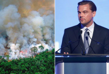 Photo of Mobilizare pentru salvarea Pădurii Amazoniene. Leonardo DiCaprio a donat cinci milioane de dolari