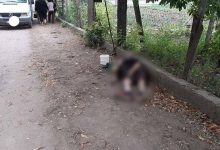 Photo of Sfârșit tragic pentru o femeie din Soroca, după ce ar fi fost lovită violent de o furgonetă