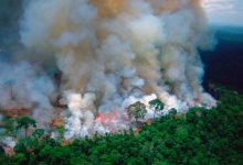 Photo of Cât de mult ne afectează incendiile din Pădurea Amazoniană? NASA a prezentat imagini cu nivelul monoxidului de carbon în aer