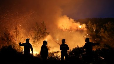 Photo of video | Incendiile de vegetație pun stăpânire pe Grecia. Sute de pompieri luptă cu flăcările