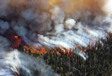 Photo of 10 reguli de respectat în perioada riscului sporit de incendii: Nu aruncăm mucurile la întâmplare și evităm să folosim focul deschis
