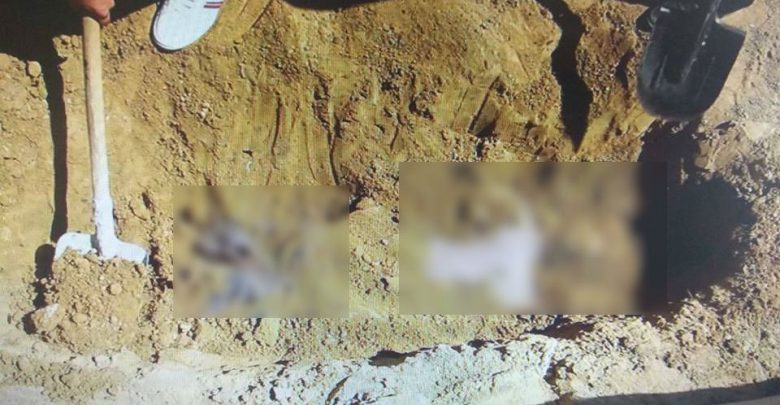 Photo of video | Un paznic din capitală ar fi fost omorât de prietenul de pahar. Suspectul riscă detenție pe viață