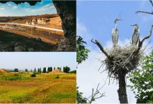Photo of foto | Toltrele Prutului, Suta de Movile și Pădurea Domnească: Locurile pe care să le vezi dacă ajungi în raionul Glodeni