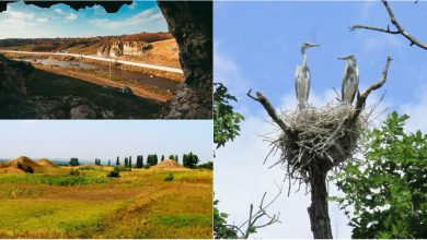 Photo of foto | Toltrele Prutului, Suta de Movile și Pădurea Domnească: Locurile pe care să le vezi dacă ajungi în raionul Glodeni