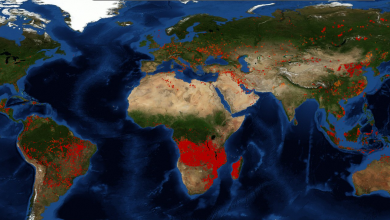 Photo of hartă | Africa, în același pericol ca și Pădurea Amazoniană. Peste 10.000 de incendii au izbucnit în ultimele zile