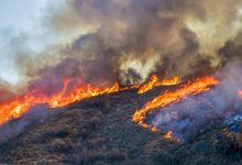 Photo of Trump îi întinde mâna lui Putin: Președintele american i-a propus omologului său rus ajutor pentru combaterea incendiilor din Siberia