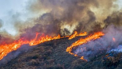 Photo of Trump îi întinde mâna lui Putin: Președintele american i-a propus omologului său rus ajutor pentru combaterea incendiilor din Siberia