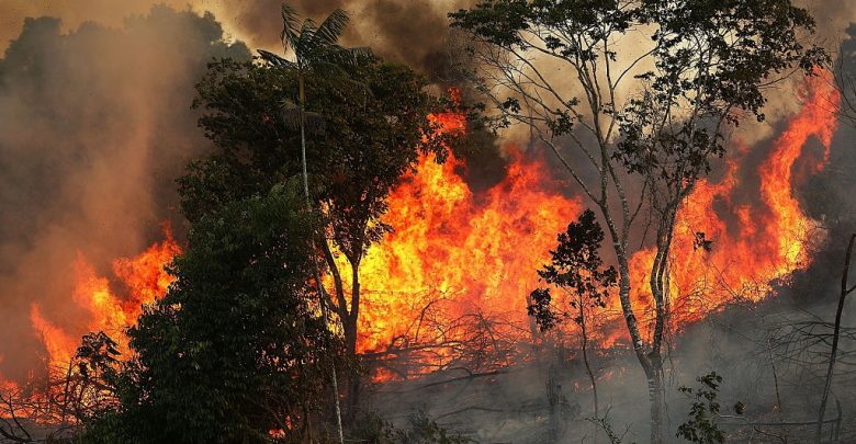 Photo of meteo | Cod galben de pericol de incendiu: Când intră în vigoare avertizarea