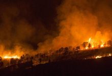 Photo of Vacanța de vis s-a transformat în câteva clipe în una de coșmar. Circa 5000 de turiști, evacuați de pe o insulă spaniolă cuprinsă de flăcări