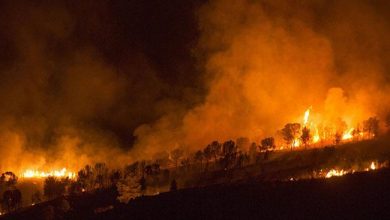 Photo of Vacanța de vis s-a transformat în câteva clipe în una de coșmar. Circa 5000 de turiști, evacuați de pe o insulă spaniolă cuprinsă de flăcări