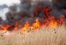 Photo of O nouă avertizare a meteorologilor! Pericol excepțional de incendiu în Moldova