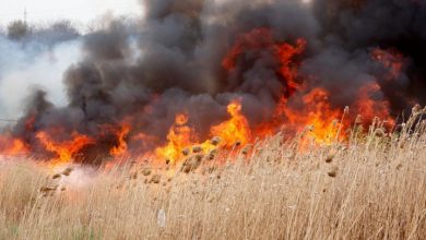 Photo of Mai multe localități din țară rămân în pericol excepțional de incendiu. Meteorologii au emis o nouă avertizare