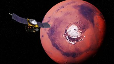Photo of video | Emiratele Arabe Unite vor să trimită o navă pe Marte. Misiunea, condusă de o femeie