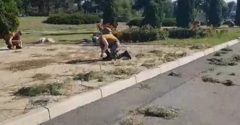 Photo of video | Înrolați să apere Patria sau să smulgă iarba? Mai mulți ostași, puși să curețe teritoriul din preajma complexului „Eternitate”