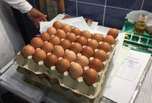 Photo of foto | Fenomenul produselor alterate nu mai „expiră” din instituții. ANSA a descoperit într-o grădiniță din capitală ouă nevalabile din iulie